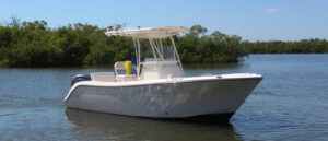 Cobia 220